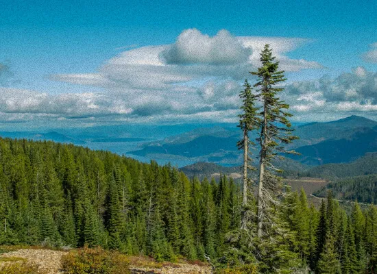 Exploring Coeur d’Alene: 5 Adventures Near Wolf Lodge Campground